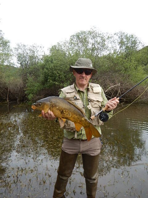 Carpa pescada a mosca en Barrios de Luna