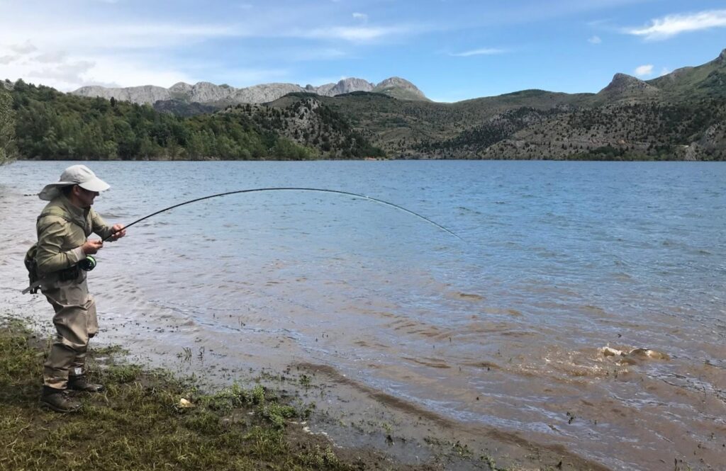 Carpa pescada a mosca en Barrios de Luna