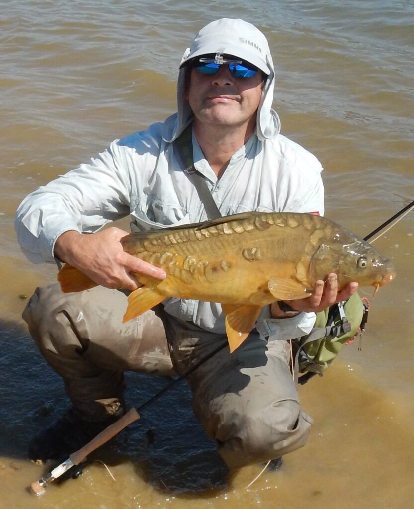 Carpa pescada a mosca