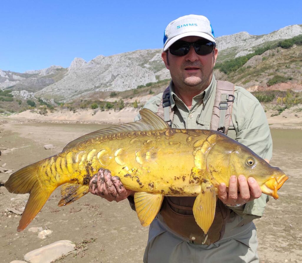 Carpa grande pescada en Barrios de Luna