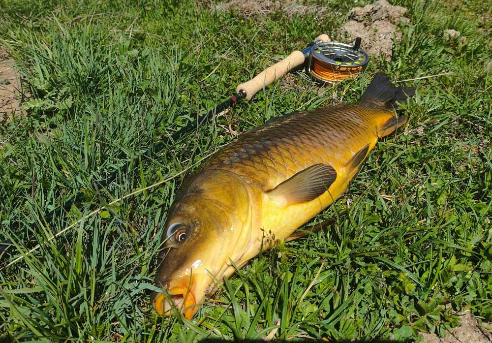 Carpa Barrios de Luna