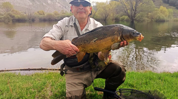 Carpa grande